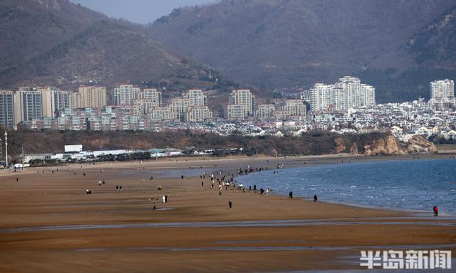 冬日暖阳映海滨