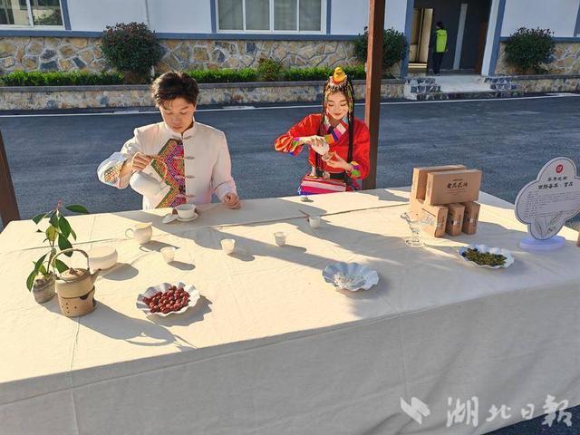 “阅长江·道中华”2025年中华民族共有精神家园建设主题文化活动走进恩施玉露博物馆