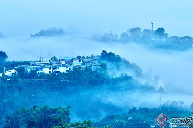 临沧临翔：邦东乡秋茶遇云海 山水画卷醉游人