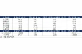 全球风电巨头冷暖互现：订单在增长，盈利在分化丨2024中报透视图片