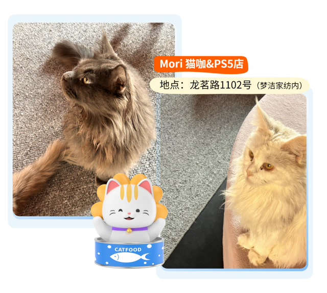不惧高温！闵行这些地方，不仅避暑，还能与书香、萌宠等相伴