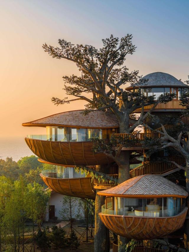 桐庐开元森泊·外婆家度假酒店开业：在富春江畔，过一个“野性”假日