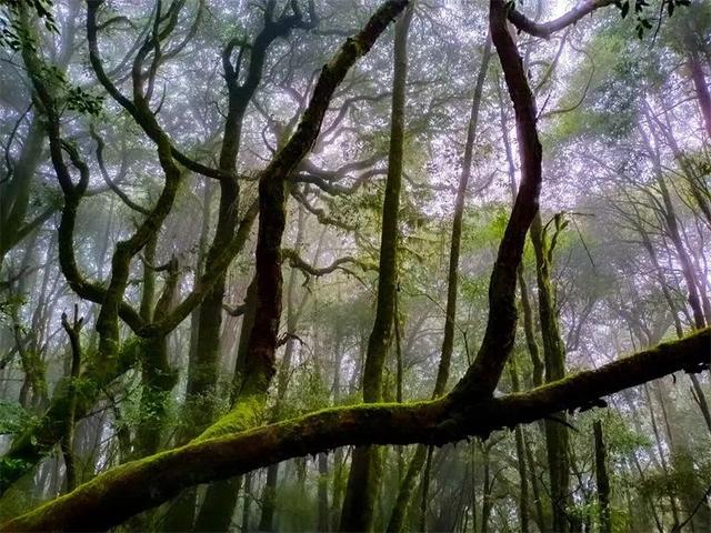 Go！Go！Go！与楚雄秋日山水撞个满怀~