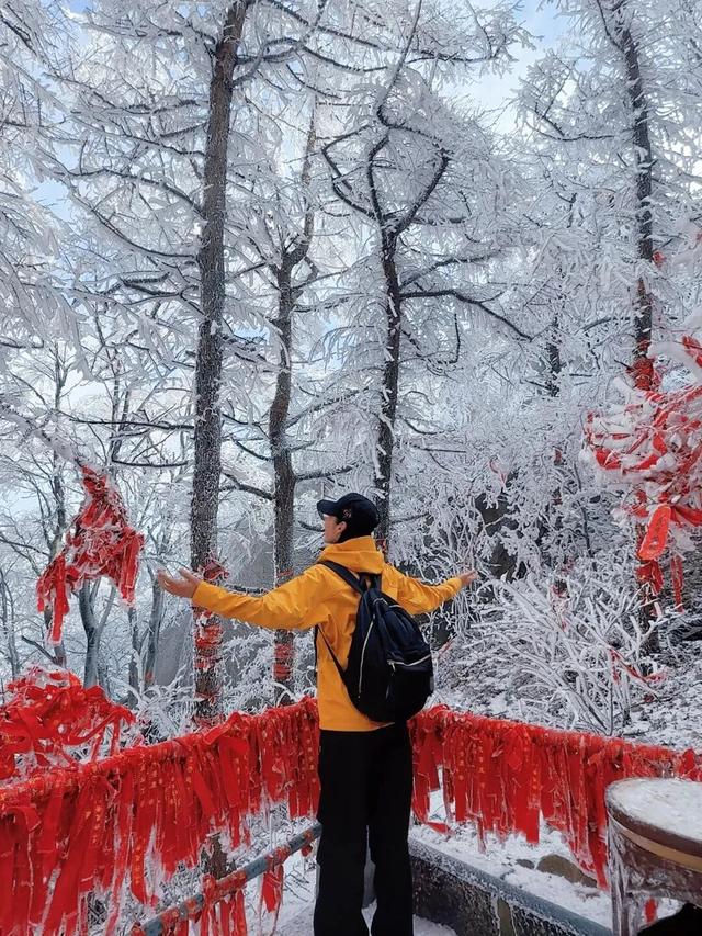 崂山风景区官宣！这些人，免门票！