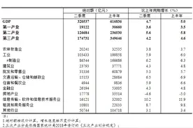 国家统计局公布二季度和上半年国内生产总值初步核算结果图片