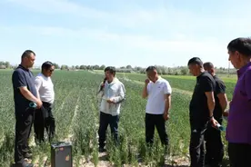 哈巴河县：“引育用”三措并举 激活人才“一池春水”图片