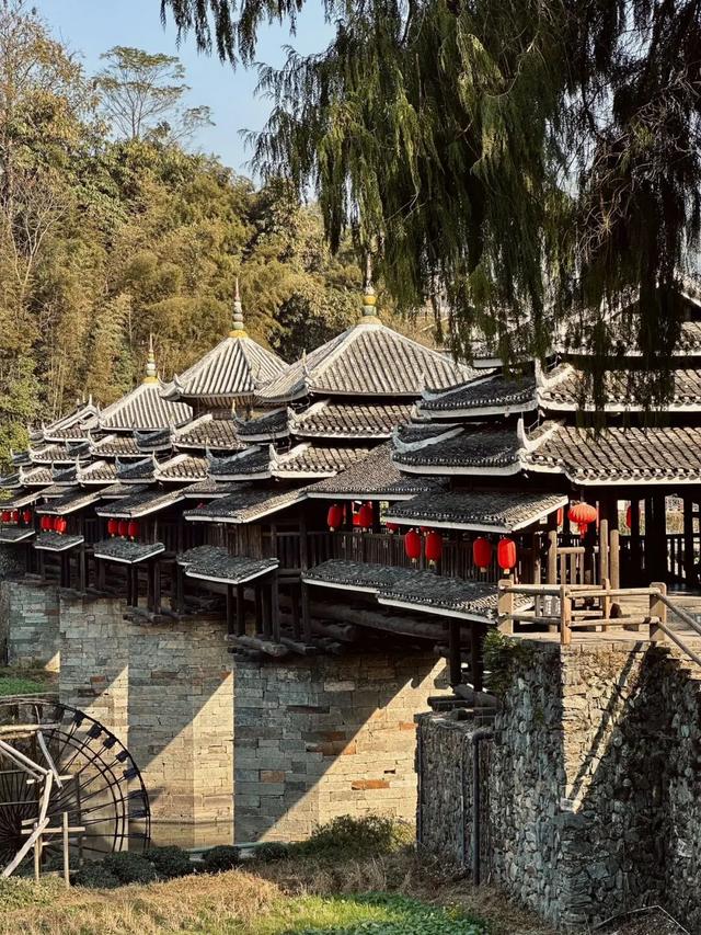 暖身又暖心！8条自驾线路带你在广西反向过冬→