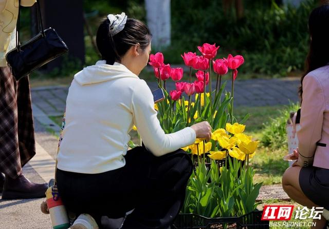 【赴春之约】郁见浪漫：长沙园林生态园的春日视觉盛宴