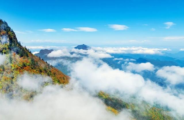 谁懂啊！这个秋天的快乐被瓦屋山承包了！