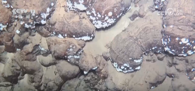 98天、15000多海里 我国载人潜水器“双子星”成功“打卡”北极