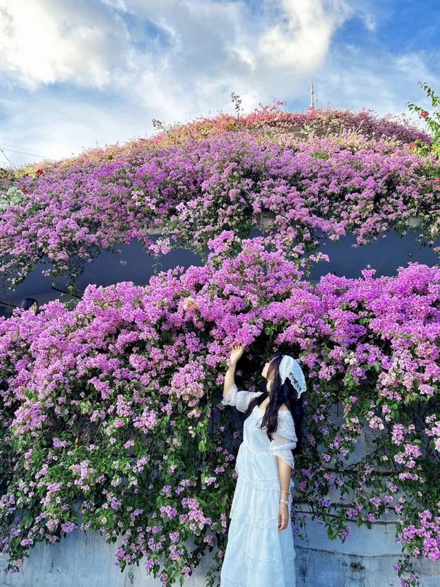 多图直击！地铁直达！这里超大片花海盛放