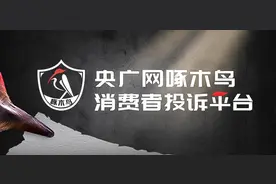 啄木鸟消费投诉｜新车验车灯光异常  消费者要求退定金遭拒图片