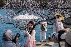 北京：颐和园西堤桃花盛放图片