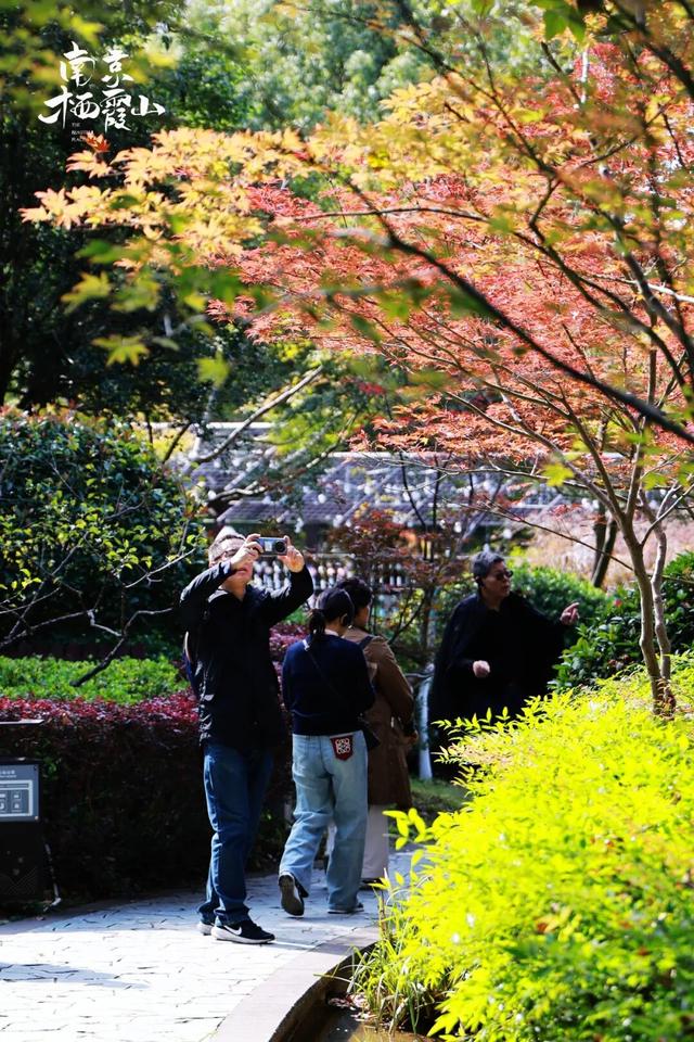 重阳登高栖霞山！玩心不“老”很嗨皮~