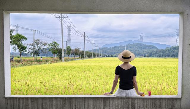 晚潮｜满城的桂花又香了