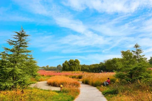 秋风引路入曲江，芙蓉金叶映红墙