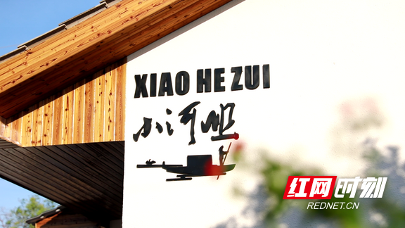 洞庭水乡焕新彩 沅江以文旅项目绘就高质量发展新图景