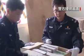 触目惊心！大量走私淫秽漫画被查获图片