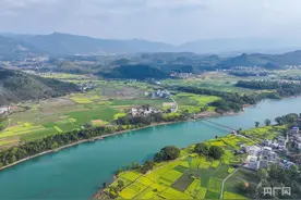 油菜花开景如画  铺就农文旅融合发展“金色画卷”图片