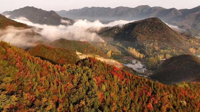 南漳：聚仙观顶望秋深 一笔胭脂染万岑