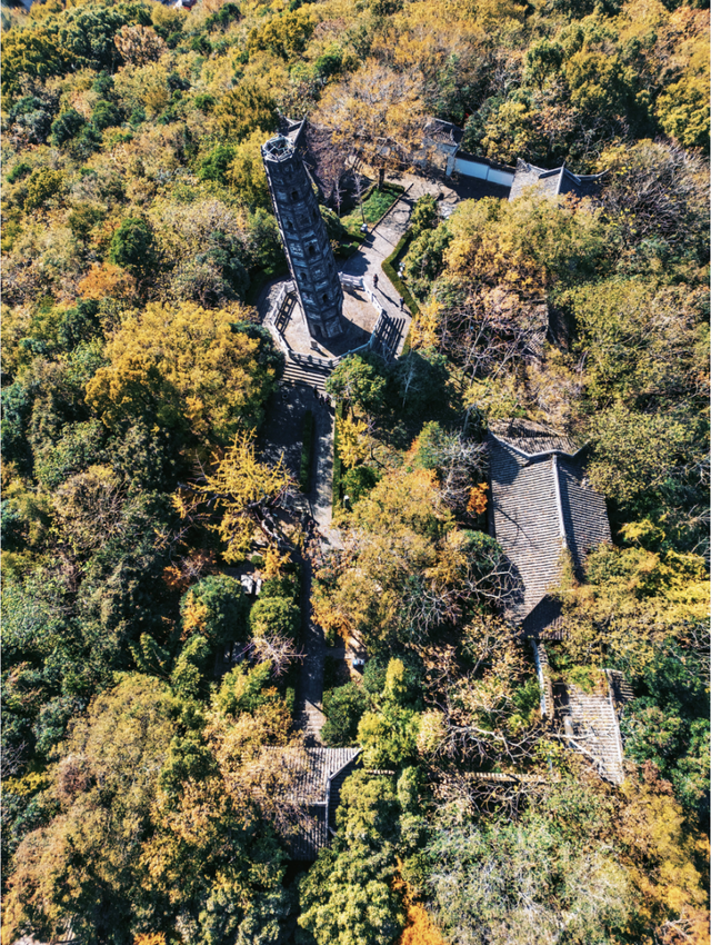 去爬山！这些五彩山林，竟然都在上海！