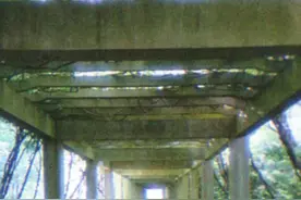 中式梦核，Z世代的电子乡愁图片