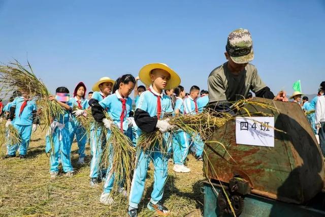 秋假出发！高明6大研学路线出炉，速速来查收