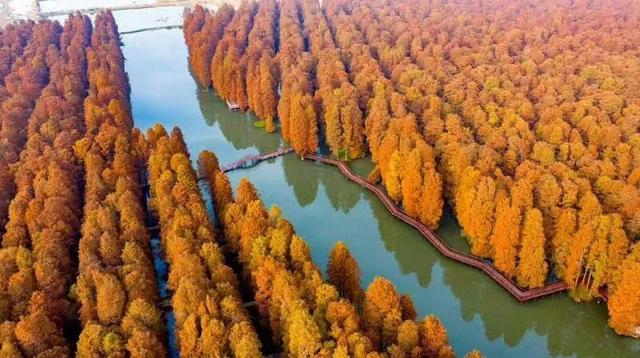 “乘高铁游泰州”，逛吃攻略等您出发