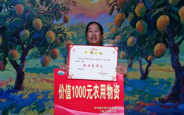 不到华坪来 不知芒果香