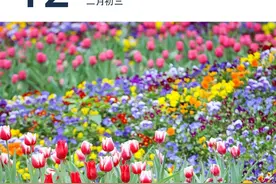 广东春季高考分数线公布｜早安广东图片
