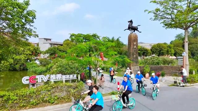 初冬暖阳，踩单车去！三水绝美骑行路线全揭秘，每一帧都是壁纸！