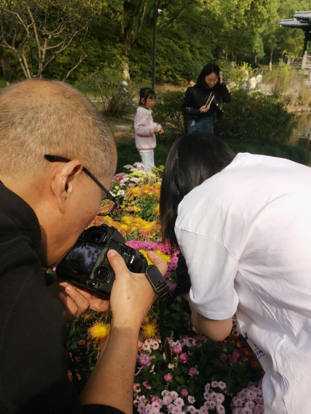 晚潮｜深秋，总要看场菊展吧