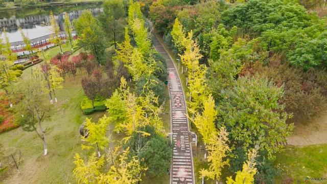 仪陇的秋天很美啊!