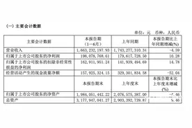 夫妻肺片卖不动，门店增长放缓！紫燕食品营收下跌净利上涨图片
