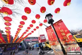 逛厂甸庙会、赏百年灯街 北京西城推出200余场新春文化活动图片