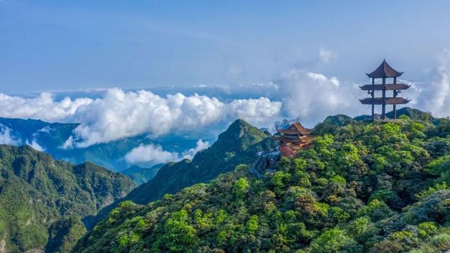 免门票！带你了解如何玩转避暑胜地大明山