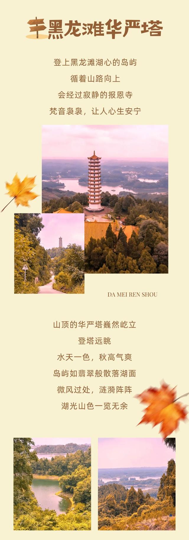 登高、访古、寻秋！重阳来仁寿，“老”有意思了！