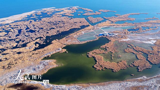 新疆福海：乌伦古湖国家湿地公园深秋美如画