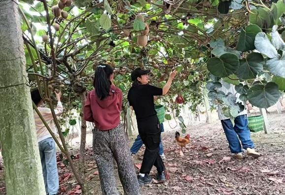 跟着赛事去旅行 | 分路口镇：解锁乡游新玩法 邂逅舌尖好滋味