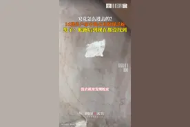 16楼住户洗衣机中现活蛇 家人被吓哭 蛇跑后至今未找到图片