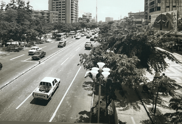 “大美故乡”第10站丨海南海口