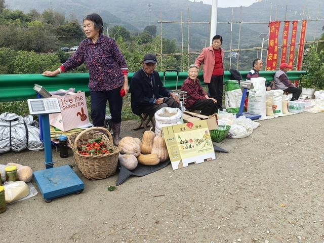 观南山美景、品特色美食，首届“源味南山·泉水小米”文化旅游节开幕