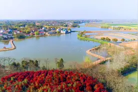 芜湖10镇，上榜！图片