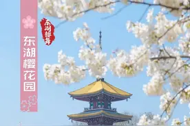 武汉十大赏樱点发布图片