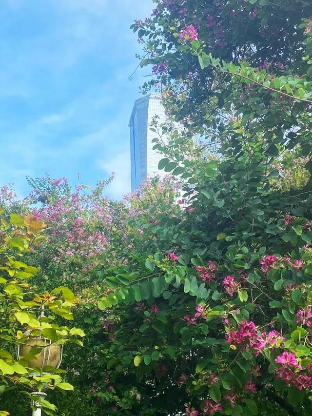 WOW，柳州超多赏秋打卡地，随手出大片！