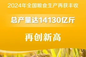 首次突破1．4万亿斤！我国粮食产量再创新高图片