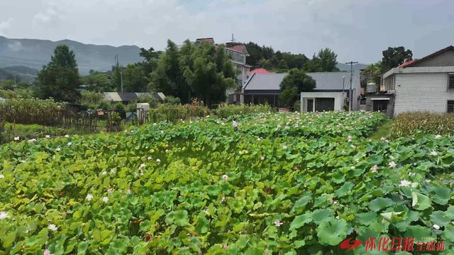福地怀化 懂你如家｜中方县奋力推动文旅产业出新出圈出彩