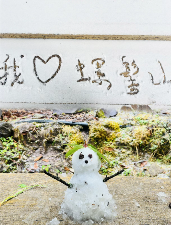 秋日雪景 | 凉山深秋, 一场不期而遇的秋雪