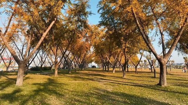 出片率100%！海陵“含金量”在上升！