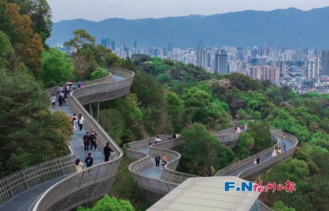 为什么澳洲华裔说“福州比想象中更有温度”？答案就在这里